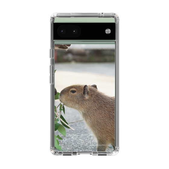 Slim Protection Case［ The Izu Animal Kingdom - Capybara ］