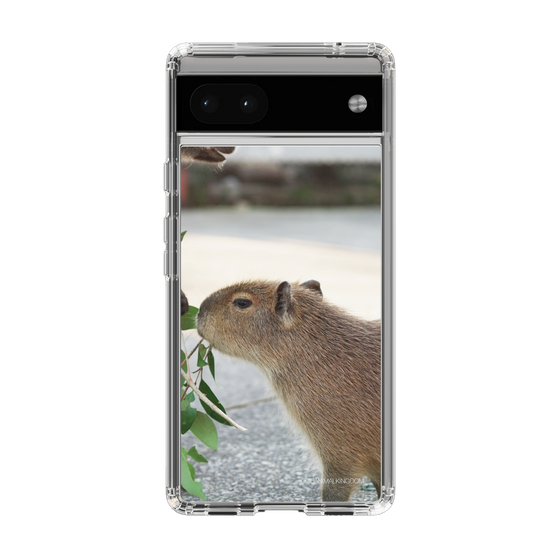 Slim Protection Case［ The Izu Animal Kingdom - Capybara ］