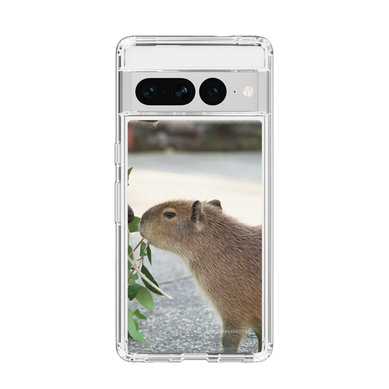 Slim Protection Case［ The Izu Animal Kingdom - Capybara ］