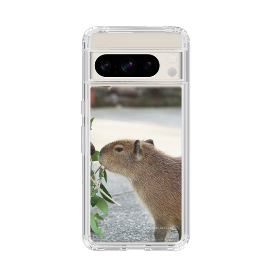 Slim Protection Case［ The Izu Animal Kingdom - Capybara ］