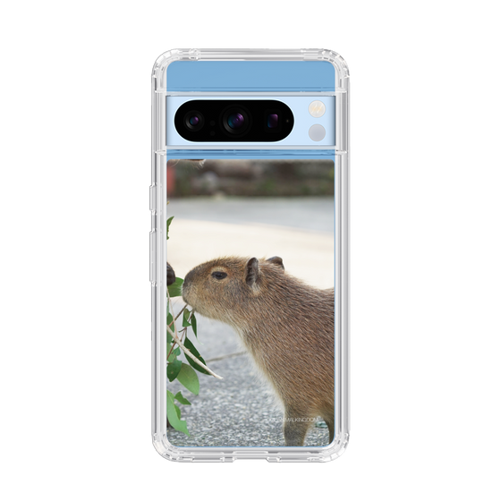 Slim Protection Case［ The Izu Animal Kingdom - Capybara ］
