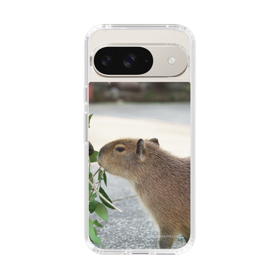 Slim Protection Case［ The Izu Animal Kingdom - Capybara ］