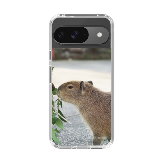 Slim Protection Case［ The Izu Animal Kingdom - Capybara ］