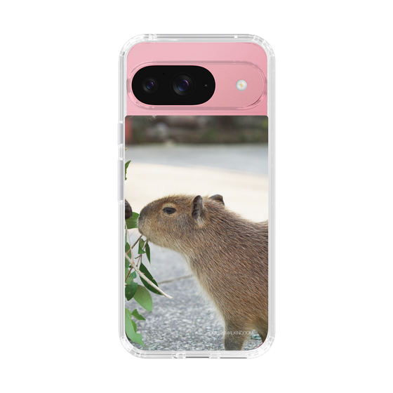 Slim Protection Case［ The Izu Animal Kingdom - Capybara ］