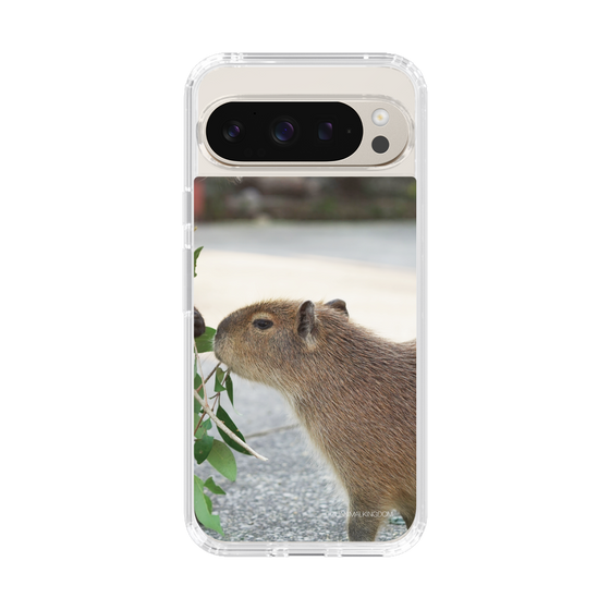 Slim Protection Case［ The Izu Animal Kingdom - Capybara ］