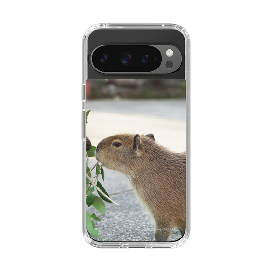 Slim Protection Case［ The Izu Animal Kingdom - Capybara ］