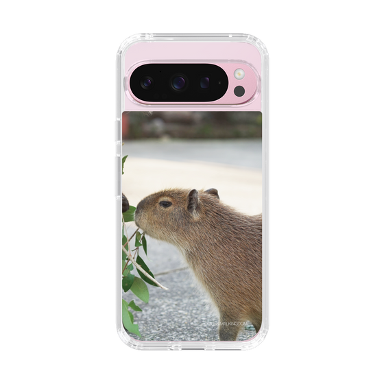 Slim Protection Case［ The Izu Animal Kingdom - Capybara ］