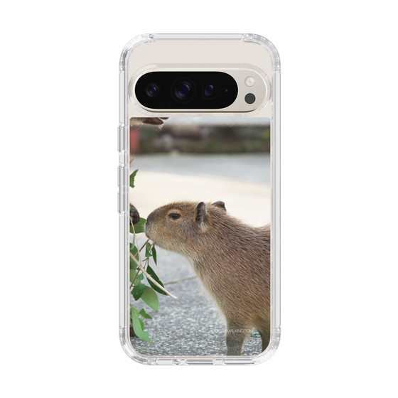 Slim Protection Case［ The Izu Animal Kingdom - Capybara ］
