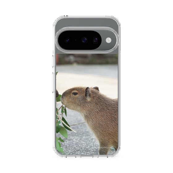 Slim Protection Case［ The Izu Animal Kingdom - Capybara ］