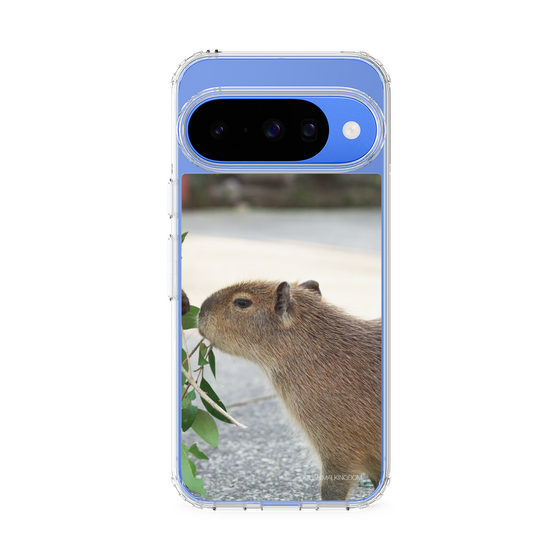 Slim Protection Case［ The Izu Animal Kingdom - Capybara ］