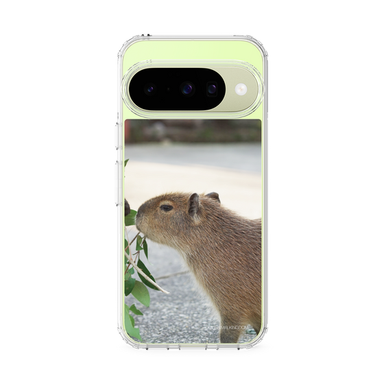 Slim Protection Case［ The Izu Animal Kingdom - Capybara ］