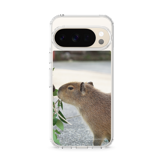Slim Protection Case［ The Izu Animal Kingdom - Capybara ］