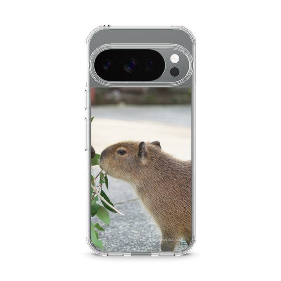 Slim Protection Case［ The Izu Animal Kingdom - Capybara ］