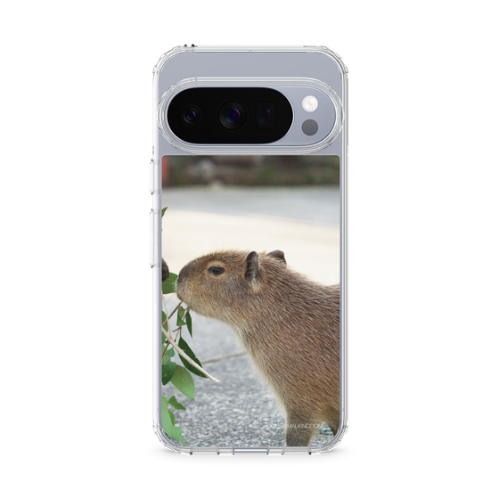 Slim Protection Case［ The Izu Animal Kingdom - Capybara ］