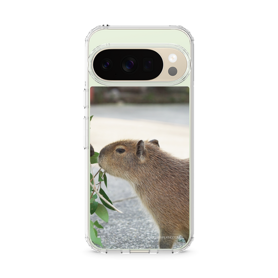 Slim Protection Case［ The Izu Animal Kingdom - Capybara ］