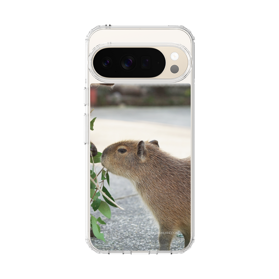 Slim Protection Case［ The Izu Animal Kingdom - Capybara ］
