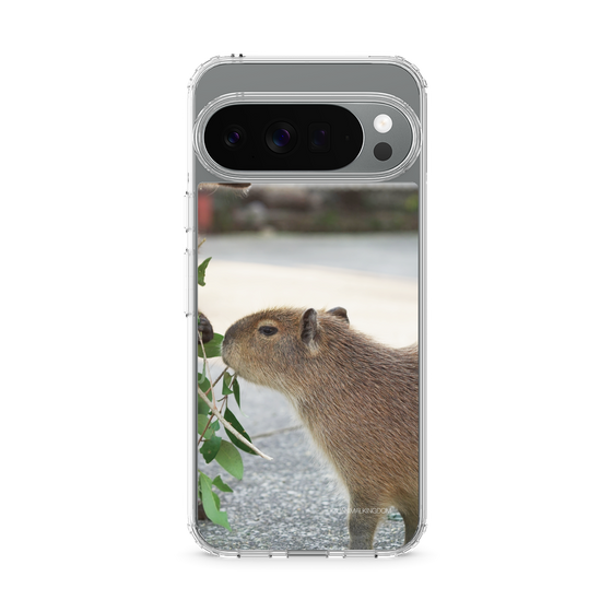 Slim Protection Case［ The Izu Animal Kingdom - Capybara ］
