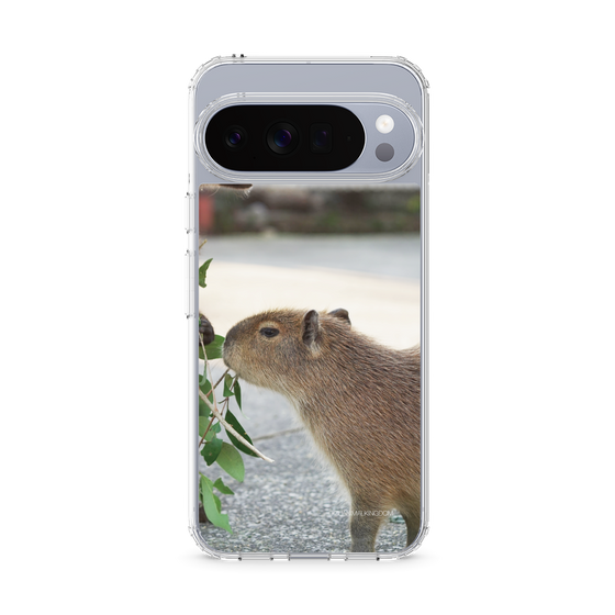 Slim Protection Case［ The Izu Animal Kingdom - Capybara ］
