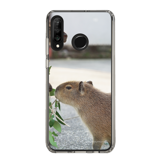 Slim Protection Case［ The Izu Animal Kingdom - Capybara ］