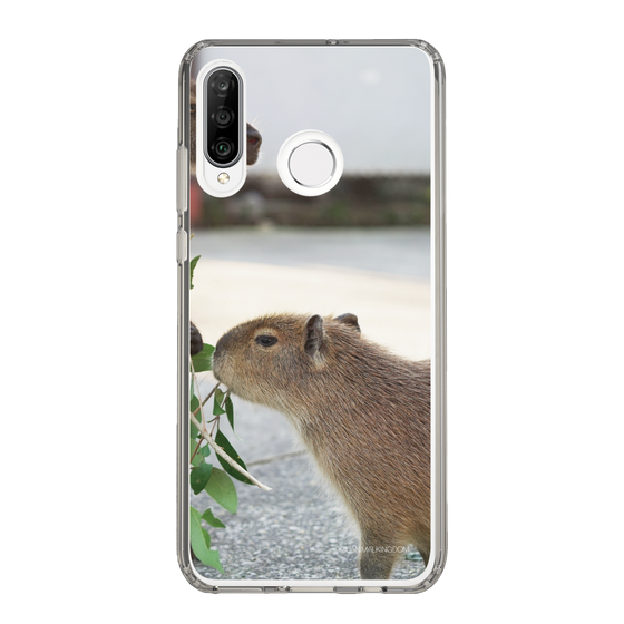 Slim Protection Case［ The Izu Animal Kingdom - Capybara ］