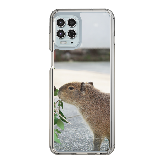 Slim Protection Case［ The Izu Animal Kingdom - Capybara ］