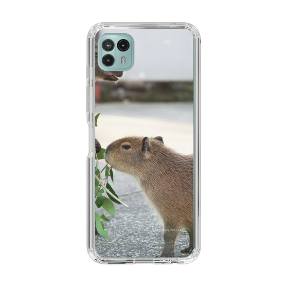 Slim Protection Case［ The Izu Animal Kingdom - Capybara ］