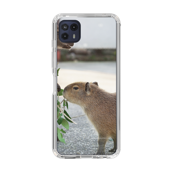 Slim Protection Case［ The Izu Animal Kingdom - Capybara ］
