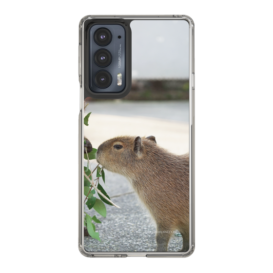 Slim Protection Case［ The Izu Animal Kingdom - Capybara ］