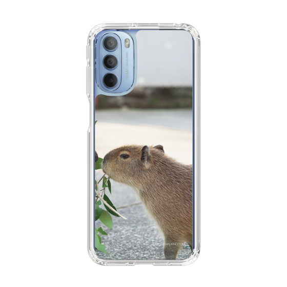 Slim Protection Case［ The Izu Animal Kingdom - Capybara ］