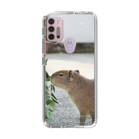 Slim Protection Case［ The Izu Animal Kingdom - Capybara ］