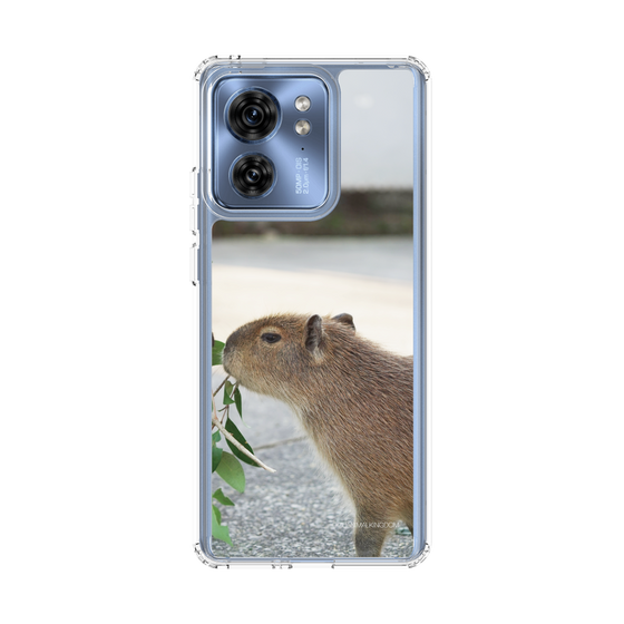 Slim Protection Case［ The Izu Animal Kingdom - Capybara ］