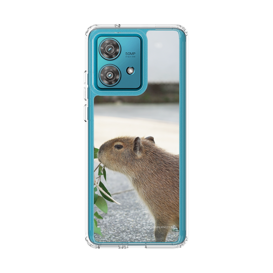 Slim Protection Case［ The Izu Animal Kingdom - Capybara ］