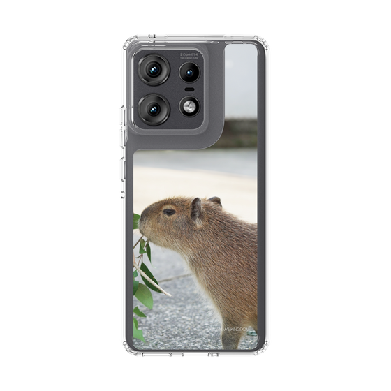 Slim Protection Case［ The Izu Animal Kingdom - Capybara ］
