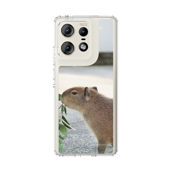 Slim Protection Case［ The Izu Animal Kingdom - Capybara ］