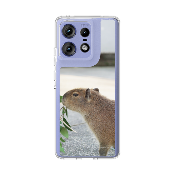 Slim Protection Case［ The Izu Animal Kingdom - Capybara ］