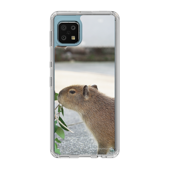 Slim Protection Case［ The Izu Animal Kingdom - Capybara ］