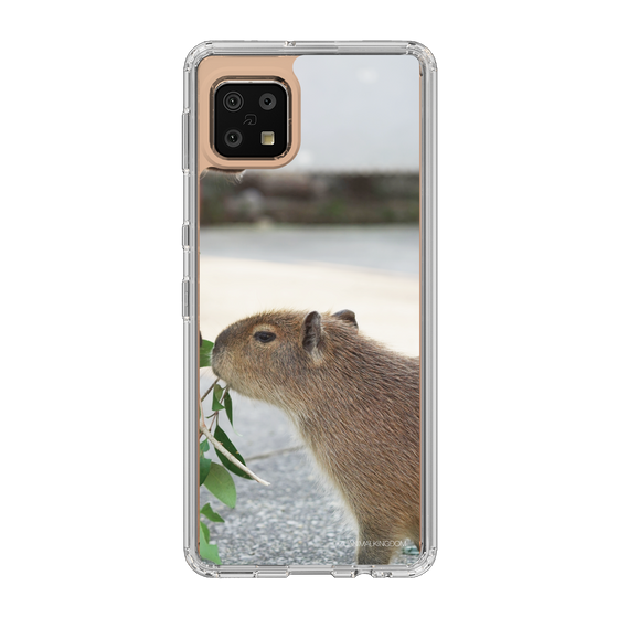 Slim Protection Case［ The Izu Animal Kingdom - Capybara ］