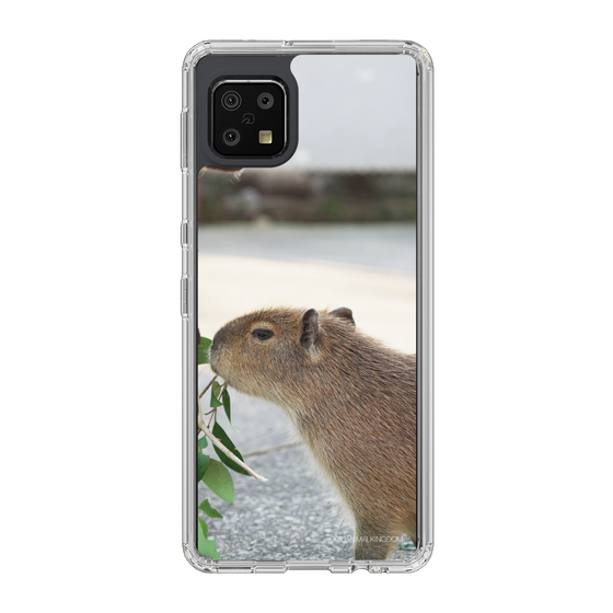 Slim Protection Case［ The Izu Animal Kingdom - Capybara ］