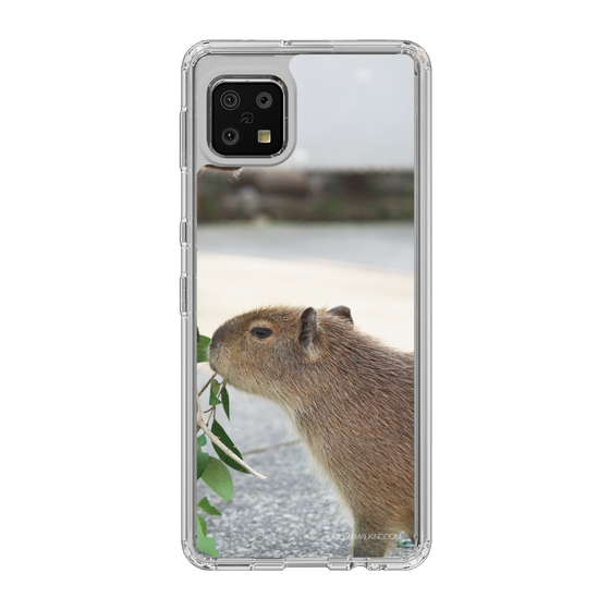 Slim Protection Case［ The Izu Animal Kingdom - Capybara ］