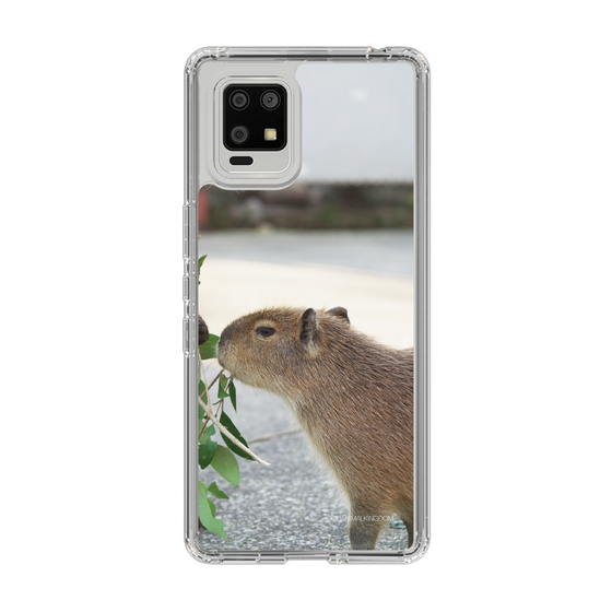 Slim Protection Case［ The Izu Animal Kingdom - Capybara ］