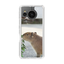 Slim Protection Case［ The Izu Animal Kingdom - Capybara ］
