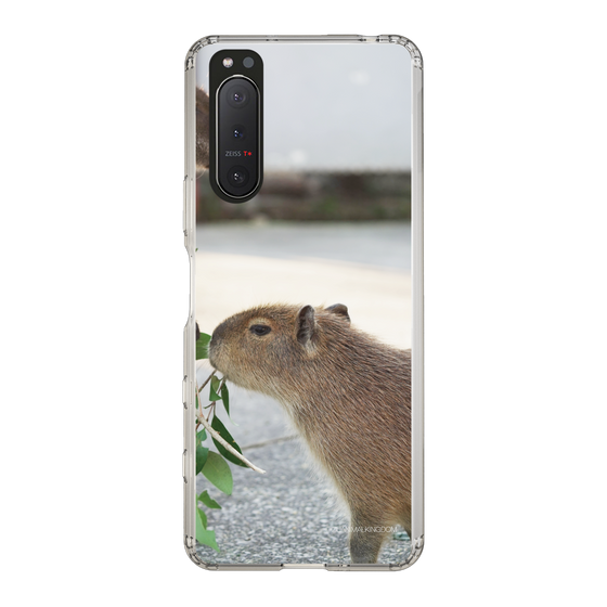 Slim Protection Case［ The Izu Animal Kingdom - Capybara ］