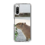 Slim Protection Case［ The Izu Animal Kingdom - Capybara ］