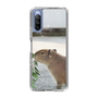 Slim Protection Case［ The Izu Animal Kingdom - Capybara ］