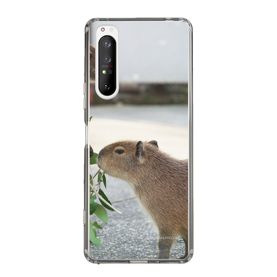 Slim Protection Case［ The Izu Animal Kingdom - Capybara ］