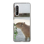 Slim Protection Case［ The Izu Animal Kingdom - Capybara ］