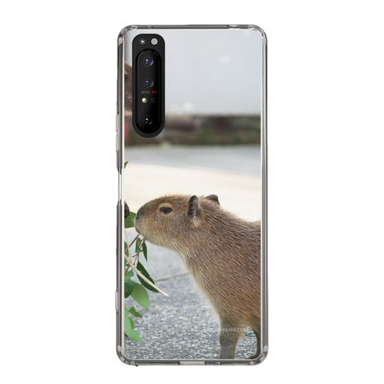 Slim Protection Case［ The Izu Animal Kingdom - Capybara ］