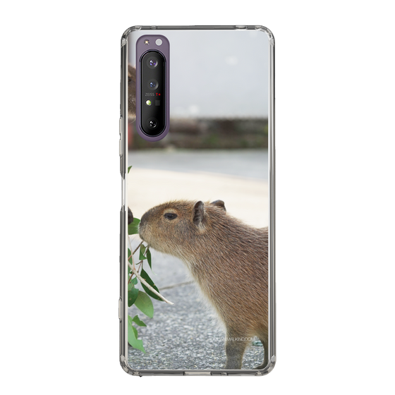 Slim Protection Case［ The Izu Animal Kingdom - Capybara ］