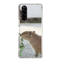 Slim Protection Case［ The Izu Animal Kingdom - Capybara ］