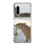 Slim Protection Case［ The Izu Animal Kingdom - Capybara ］